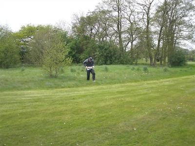 trev-1.jpg